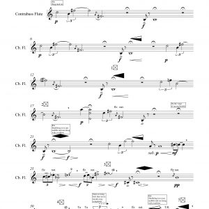 Dry Vista (2016) - Contrabass Flute and Electronics